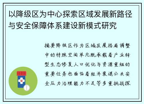 以降级区为中心探索区域发展新路径与安全保障体系建设新模式研究 以降级区为中心探索区域发展新路径与安全保障体系建设新模式研究